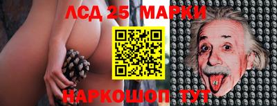 сатива Ставрополь