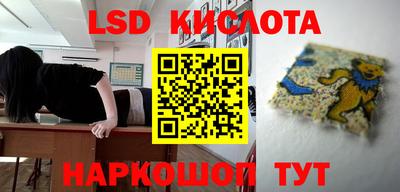 сатива Ставрополь