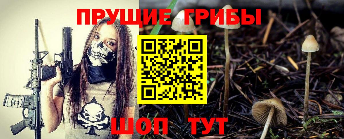 Галлюциногенные грибы прущие грибы Отрадный