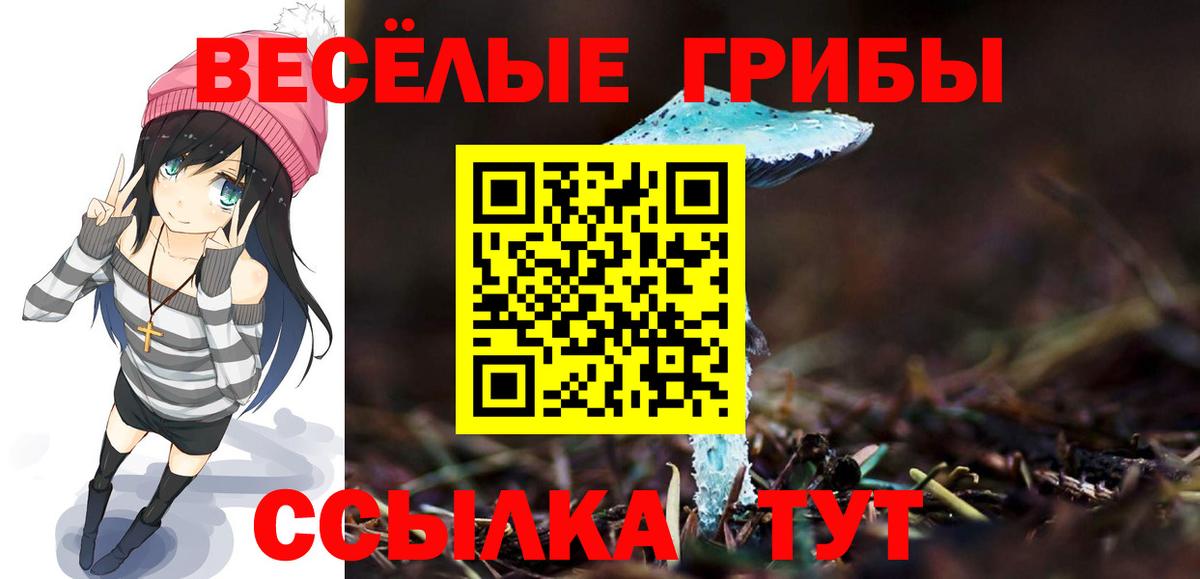 Меф МЯУ МЯУ  MDMA  Отрадный  Мефедрон кристаллы  Альфа ПВП СК кристаллы  Где купить  Вход с VPN  Гашиш  Бошки Шишки 
