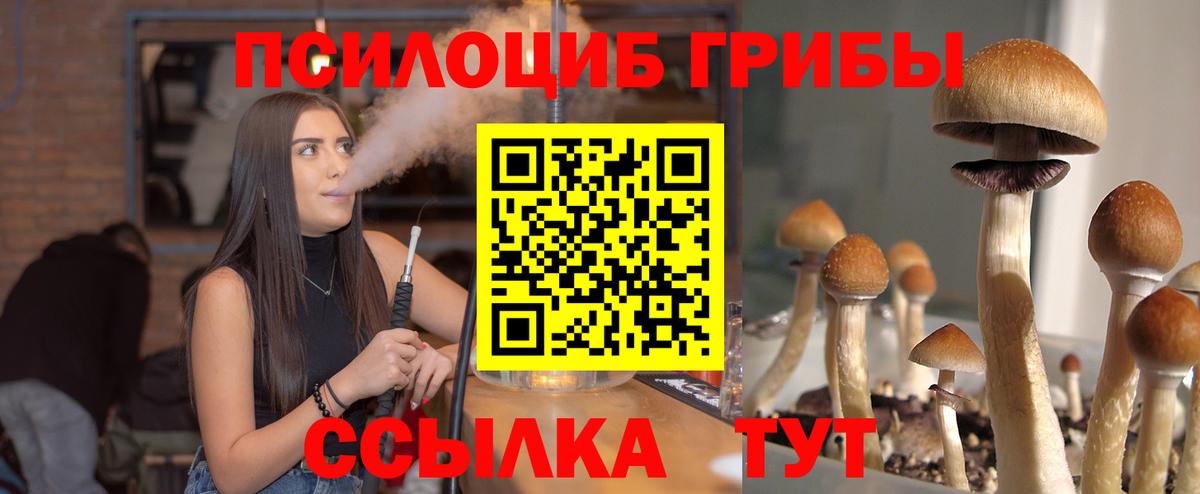 Отрадный  Галлюциногенные грибы ЛСД  Псилоцибиновые грибы мицелий  Вход с VPN 